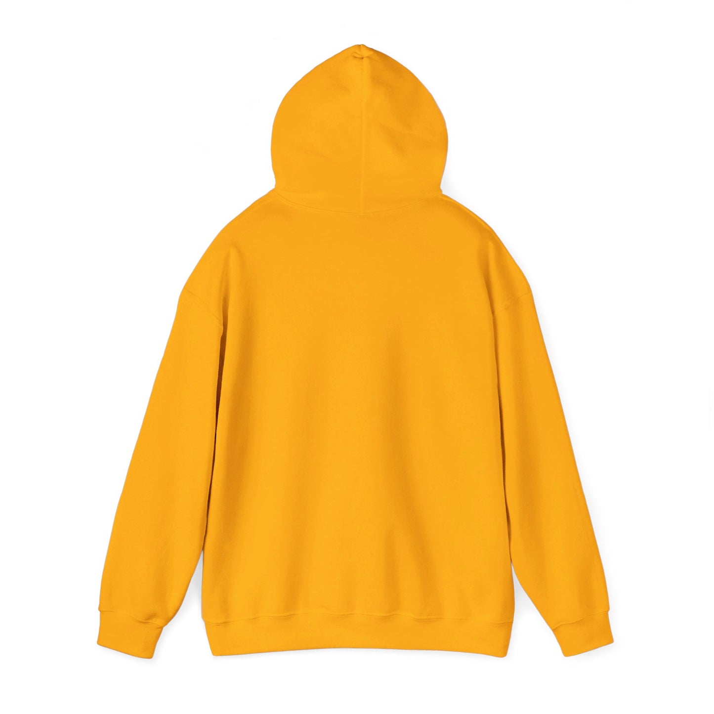 This Is My Campfire Hoodie Cozy Nights Summer Camp Hooded Sweatshirt