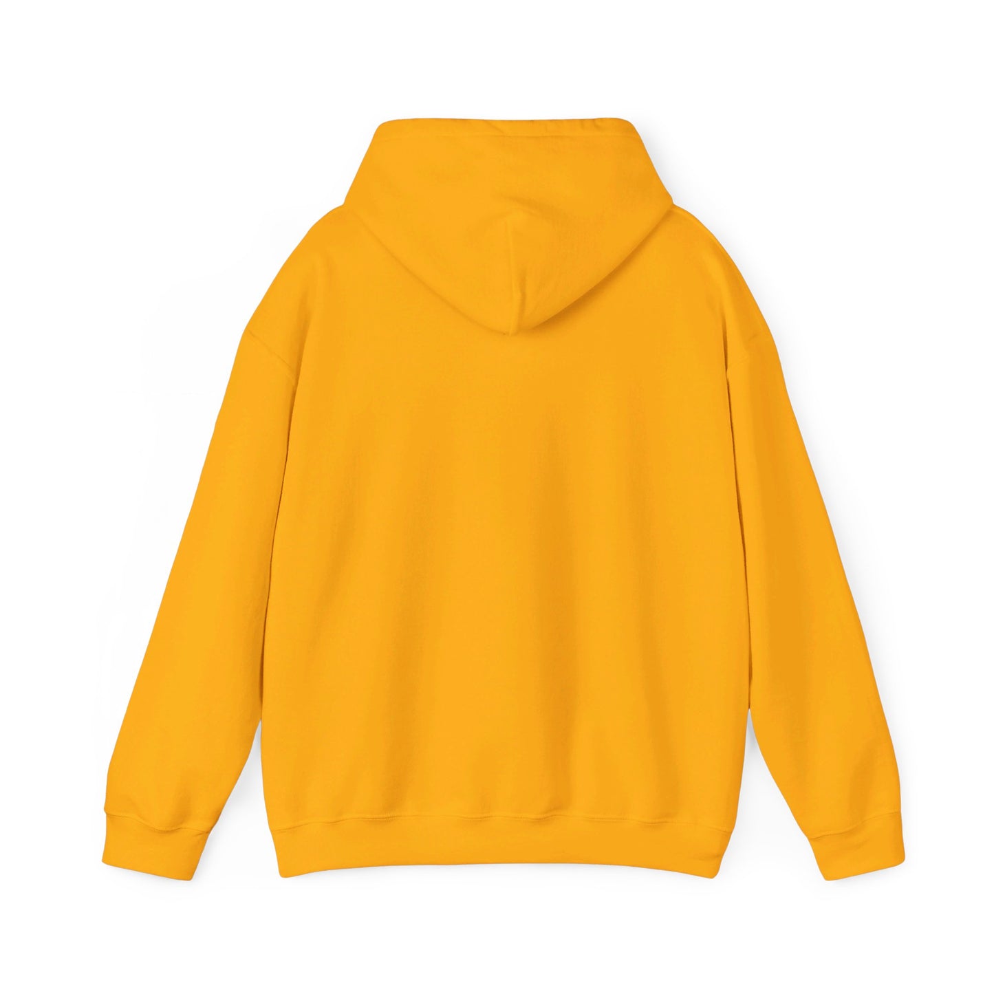 This Is My Campfire Hoodie  Cozy Nights Summer Camp Hooded Sweatshirt